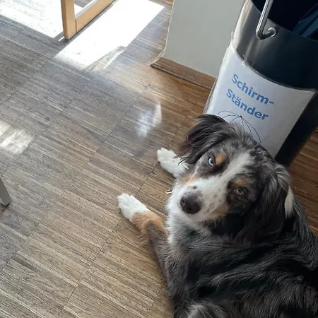 H&h Studio-apartments Im Zentrum Jedes Mit Kuechenzeilen - 24h Check In Apart-hotel Greifswald